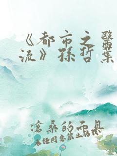 《都市之医武风流》孙哲叶巧