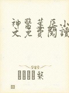 神医叶辰小说全文免费阅读