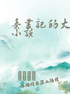 秦书记的大家伙小说