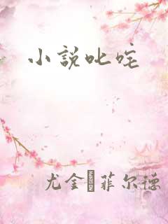 小说叱咤