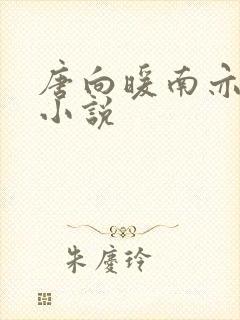 唐向暖南亦琛的小说