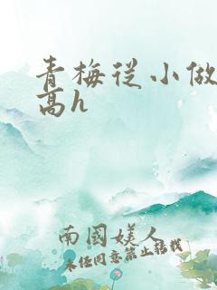 青梅从小做到大高h