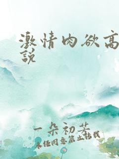 激情肉欲高潮小说