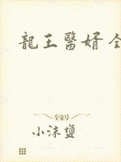 龙王医婿 全本