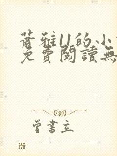萧雅11的小说免费阅读无弹窗最新章节