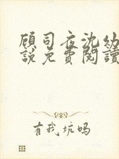 顾司夜沈幼楚小说免费阅读