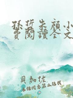 孙哲朱颜小说免费阅读全文最新章节