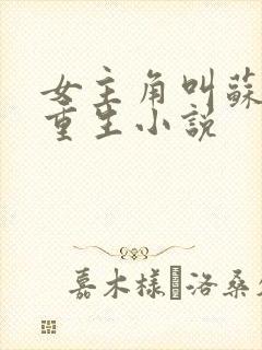 女主角叫苏婉的重生小说