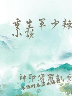 重生军少辣娇妻小说