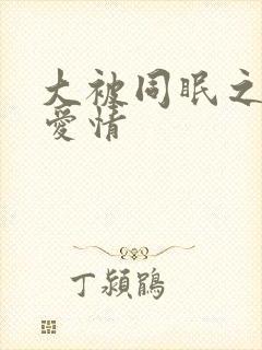 大被同眠之乡村爱情