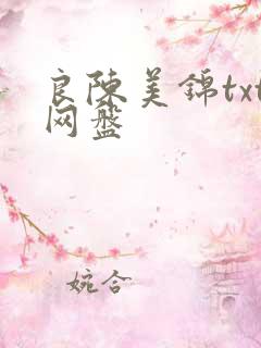 良陈美锦txt网盘