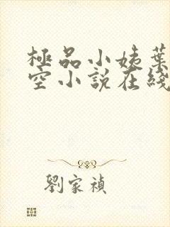 极品小姨叶凡司空小说在线阅读全文