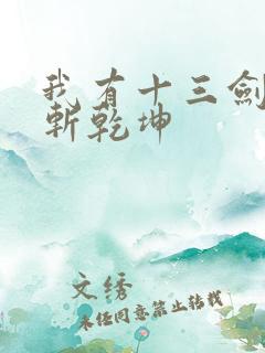 我有十三剑剑剑斩乾坤