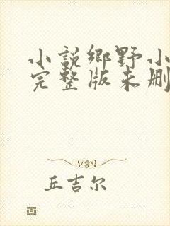小说乡野小傻医完整版未删减小说