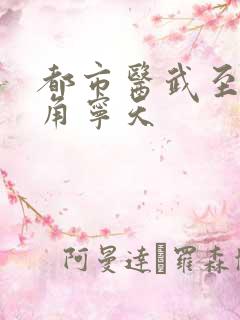 都市医武至尊主角宁天