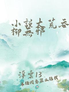 小说大荒吞天诀柳无邪
