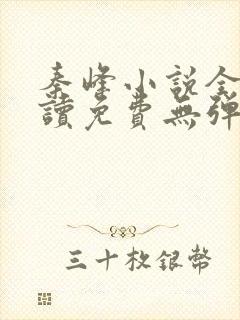 秦峰小说全文阅读免费无弹窗