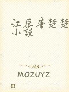江辰唐楚楚免费小说