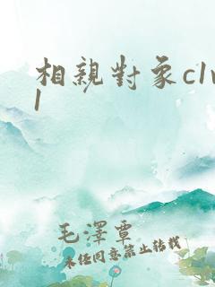 相亲对象c1v1