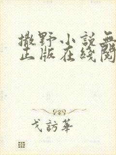 撒野小说无删减正版在线阅读