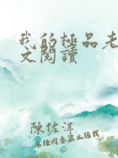 我的极品老婆全文阅读
