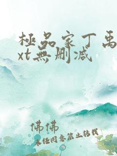 极品家丁禹岩txt无删减