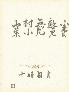 山村无敌小医仙叶小凡免费阅读