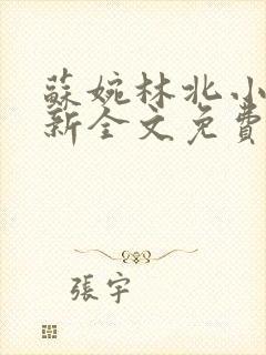 苏婉林北小说最新全文免费阅读无弹窗