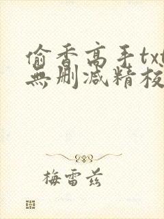 偷香高手txt无删减精校全本下载