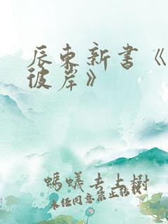 辰东新书《深空彼岸》