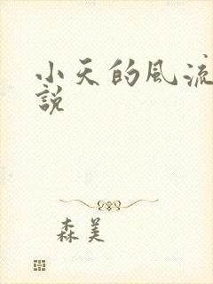 小天的风流史小说