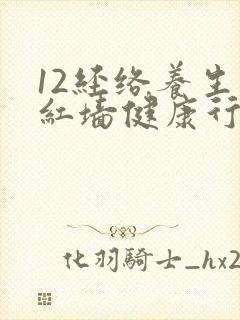 12经络养生操红墙健康行