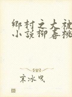 乡村之大被同眠小说柳春桃