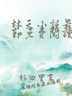 林天小说最新章节免费阅读全文
