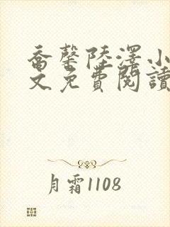 乔馨陆泽小说全文免费阅读最新章节