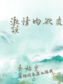 激情肉欲爽文小说