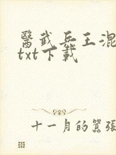 医武兵王混乡村txt下载