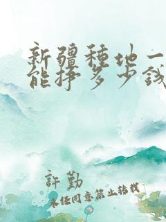 新疆种地一亩地能挣多少钱