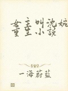 女主叫沈婉婉的重生小说
