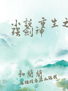 小说 重生之最强剑神