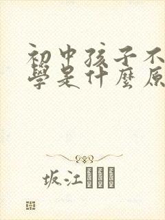 初中孩子不想上学是什么原因