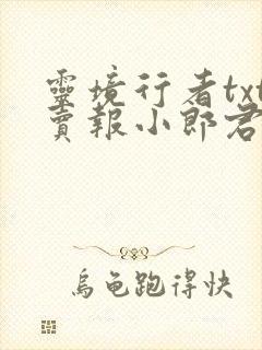 灵境行者txt卖报小郎君