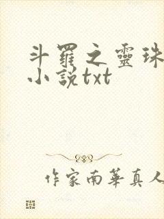 斗罗之灵珠神剑小说txt