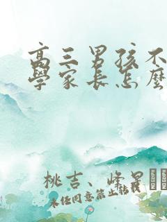 高三男孩不想上学家长怎么办