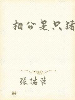 相公是只猪