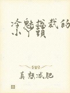 冷魅总裁的纯纯小丫头
