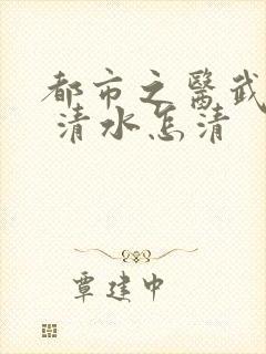 都市之医武至尊 清水怎清