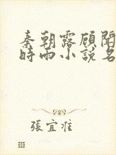 秦朝露顾闻州陆时雨小说名字