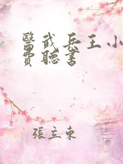 医武兵王小说免费听书