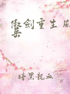 傲剑重生 风子岳